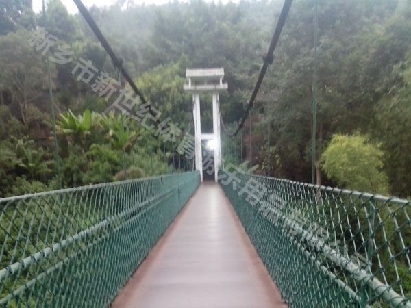 懸索橋和吊橋的區別